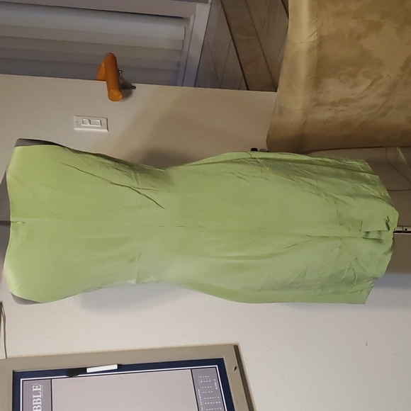 NWOT Light Moss Green Sleeveless Sheath, Sz 12 - Picture 8 of 14